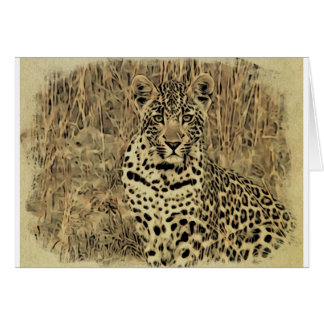 leopardo