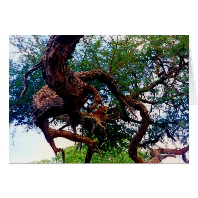 leopardo (Anverso (Horizontal))