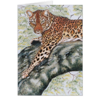 "Leopardo "