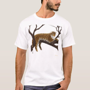 Leopardo africano en camiseta del árbol