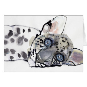 Leopardo árabe 2008 3