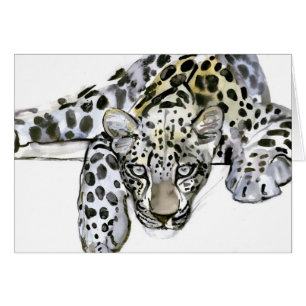 Leopardo árabe 2008 6