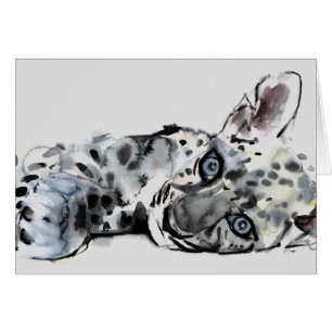 Leopardo árabe Cub 2008
