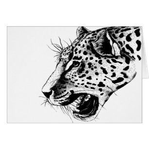 Leopardo Blanco Y Negro