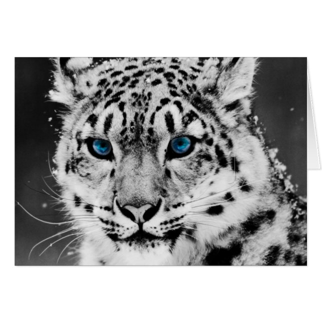 Leopardo de la nieve (Anverso (Horizontal))