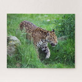 Leopardo en el rompecabezas del césped