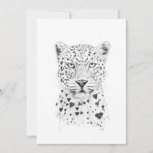 Leopardo encantador
