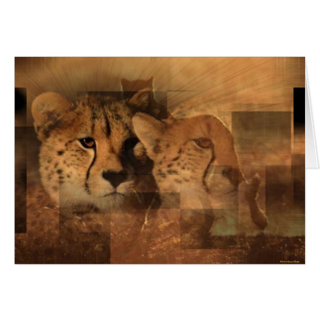 Leopards Card (Anverso (Horizontal))