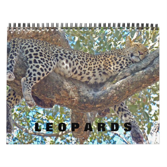 LEOPARDS - TODOS LOS CALENDARIOS LEOPARD (Tapa)