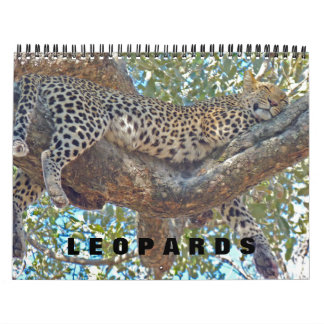 LEOPARDS - TODOS LOS CALENDARIOS LEOPARD