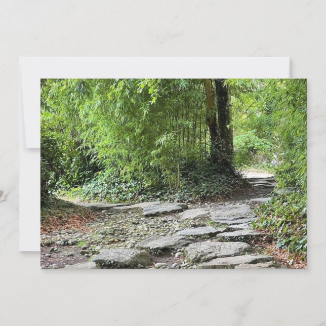 Les bambous (Anverso)