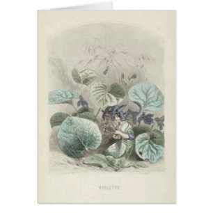 Les violeta Fleurs