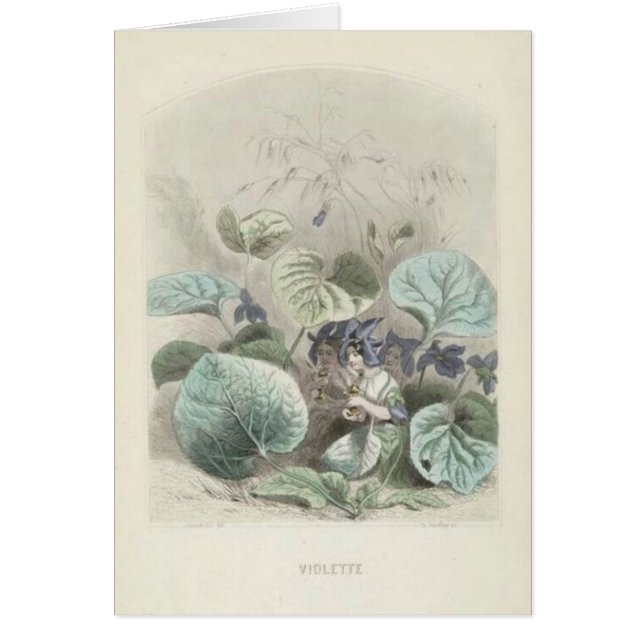 Les violeta Fleurs (Frente)