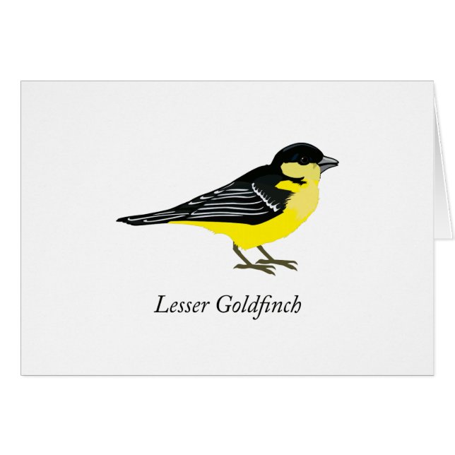 Lesser goldfinch (Anverso (Horizontal))