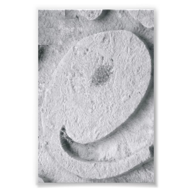 Letra alfabética fotografía E4 negro y blanco 4x6 (Frente)