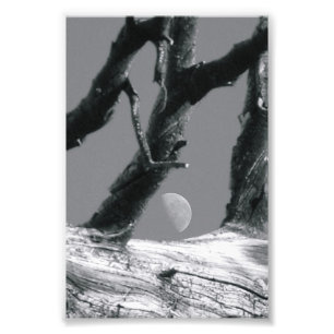 Letra alfabética fotografía M7 blanco y negro 4x6