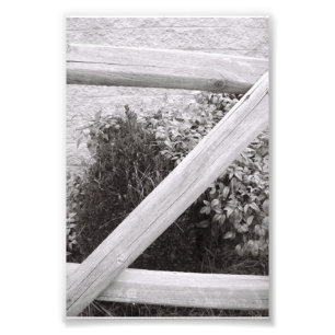 Letra alfabética fotografía Z2 blanco y negro 4x6