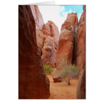 Letras, Parque Nacional Arches, Tarjeta Utah