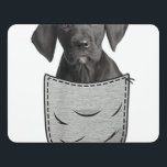 Letrero Para Puerta Great Dane Puppy Apollo of Dogs Gentle Giant Owner<br><div class="desc">Great Dane Puppy Apollo of Dogs Gentle Giant Owner,  Great Dane gifts for women vintage gift men vintage gift women for dad,  mom,  wife,  husband,  daughter,  son,  aunt,  or uncle</div>