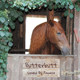 Letrero Para Puerta Sala Clásica Simulada Rustic Wood Horse Stall