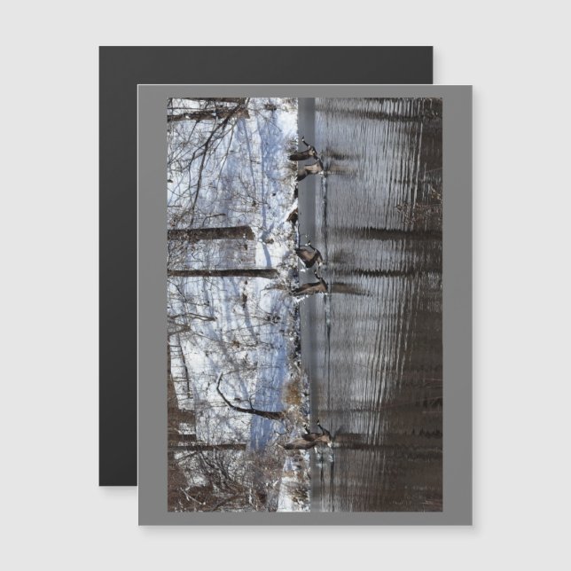 Levantamiento Geese Del Agua (Anverso/Reverso)