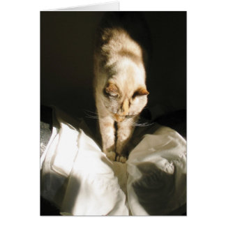 Levantarse y brillar