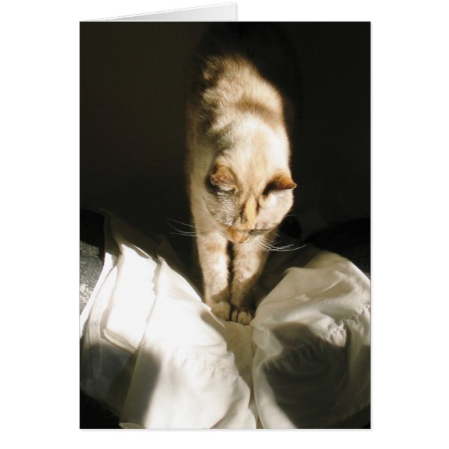 Levantarse y brillar (Frente)