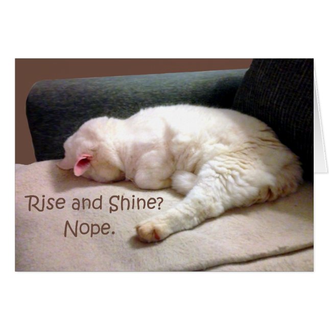 ¿Levantarse y brillar? No. (Anverso (Horizontal))