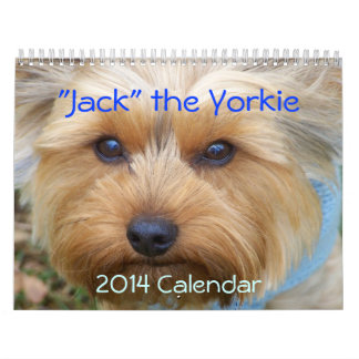 "Levante" el Yorkie - calendario 2014