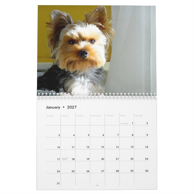 "Levante" el Yorkie - calendario 2014 (Jan 2027)