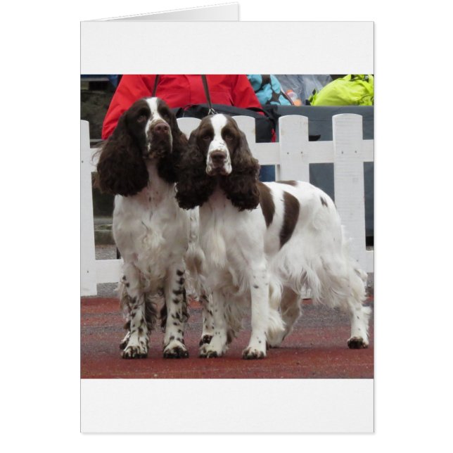 Ley Springer-Pair (Frente)