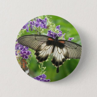 Leyenda del botón de las mariposas