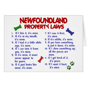 Leyes 2 de la propiedad de TERRANOVA