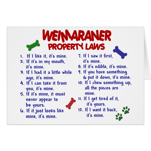 Leyes 2 de la propiedad de WEIMARANER (Anverso (Horizontal))