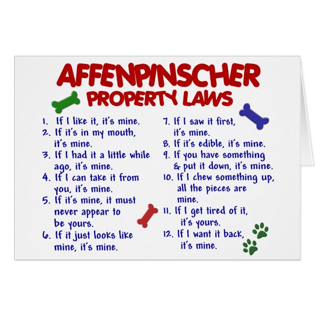 Leyes 2 de la propiedad del AFFENPINSCHER (Anverso (Horizontal))