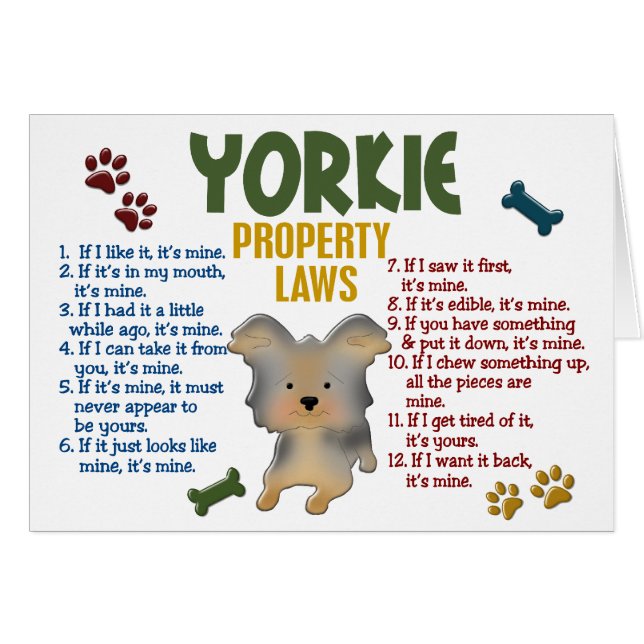 Leyes 4 de la propiedad de Yorkie (Anverso (Horizontal))