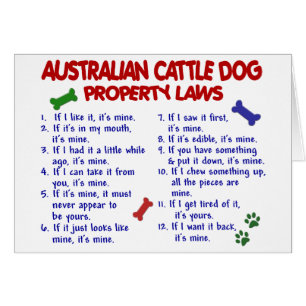 Leyes AUSTRALIANAS 2 de la propiedad del PERRO del