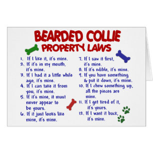 Leyes BARBUDAS 2 de la propiedad del COLLIE