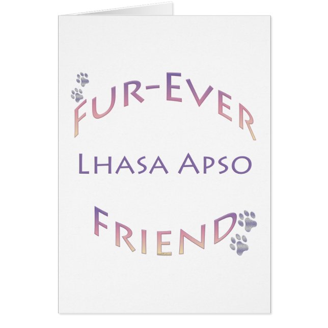 Lhasa Apso Furever (Frente)