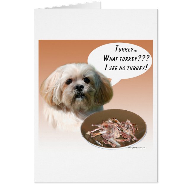 Lhasa Apso Turkey (Frente)