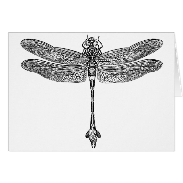 Libélula (Anverso (Horizontal))