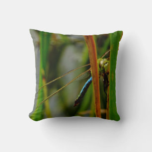 libélula azul de almohada verde, ojos verdes