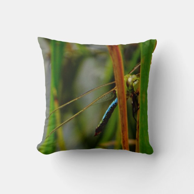 libélula azul de almohada verde, ojos verdes (Anverso)