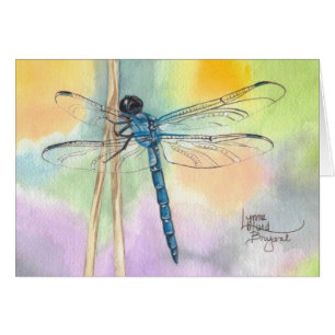 Libélula del arco iris