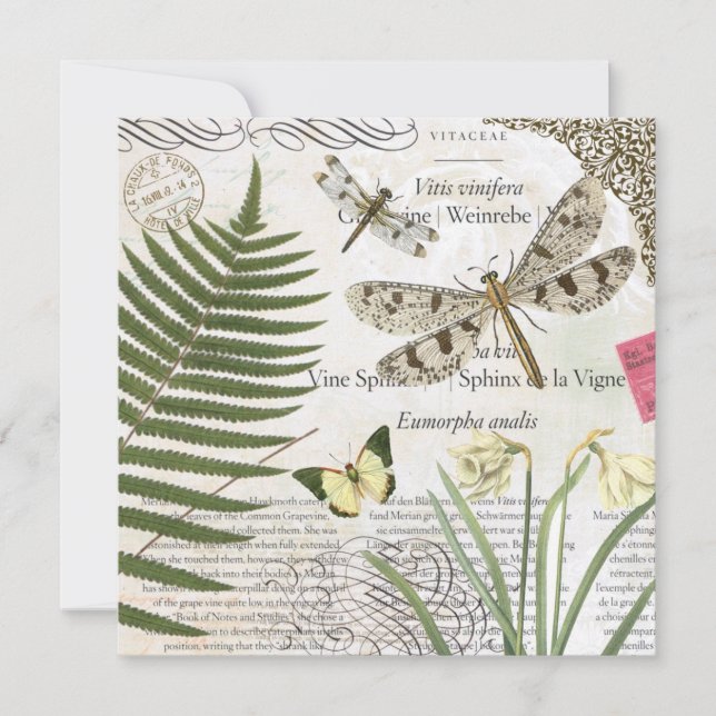 libélula francesa vintage moderna (Anverso)