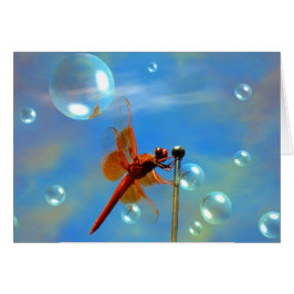 Libélula roja transparente