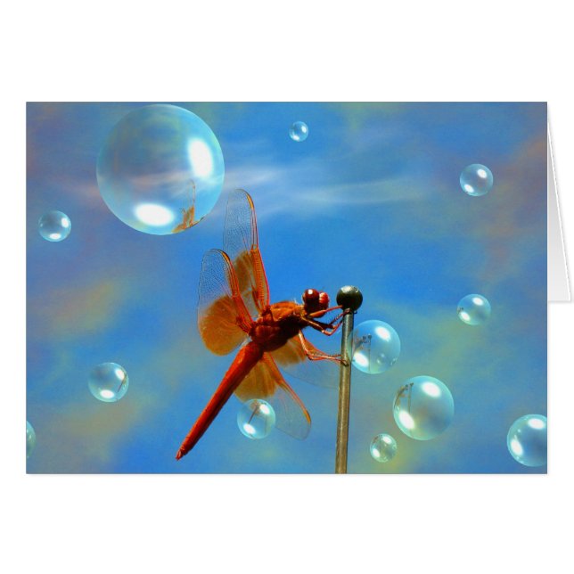 Libélula roja transparente (Anverso (Horizontal))