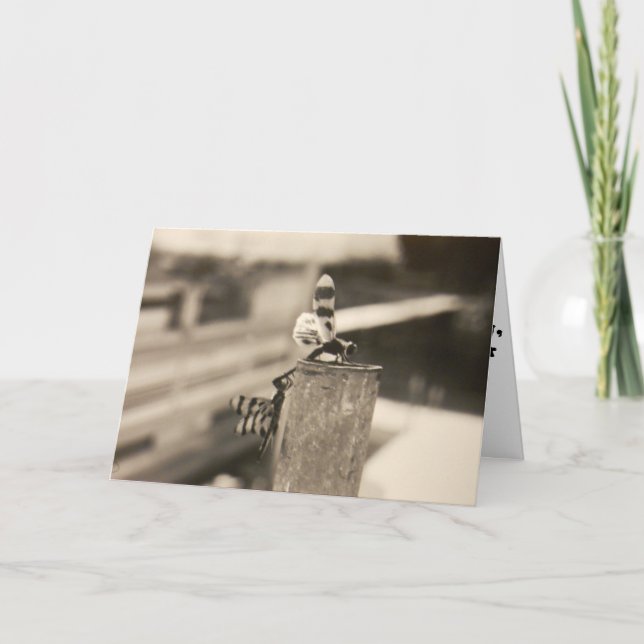 "Libélulas del Lago Francés" Tarjeta de Recuperaci (Anverso)