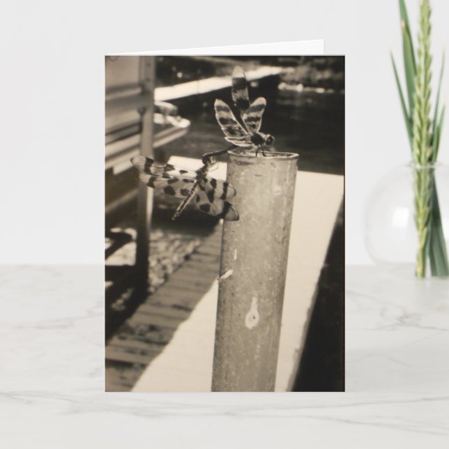 "Libélulas del Lago Francés" Tarjeta de Recuperaci (Anverso)