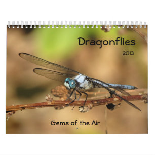 Libélulas - gemas del calendario del aire 2013
